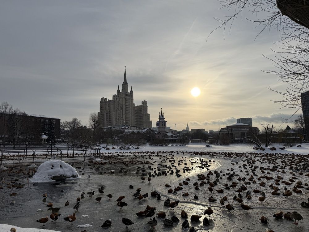 Photograph by Светлана Парамонова