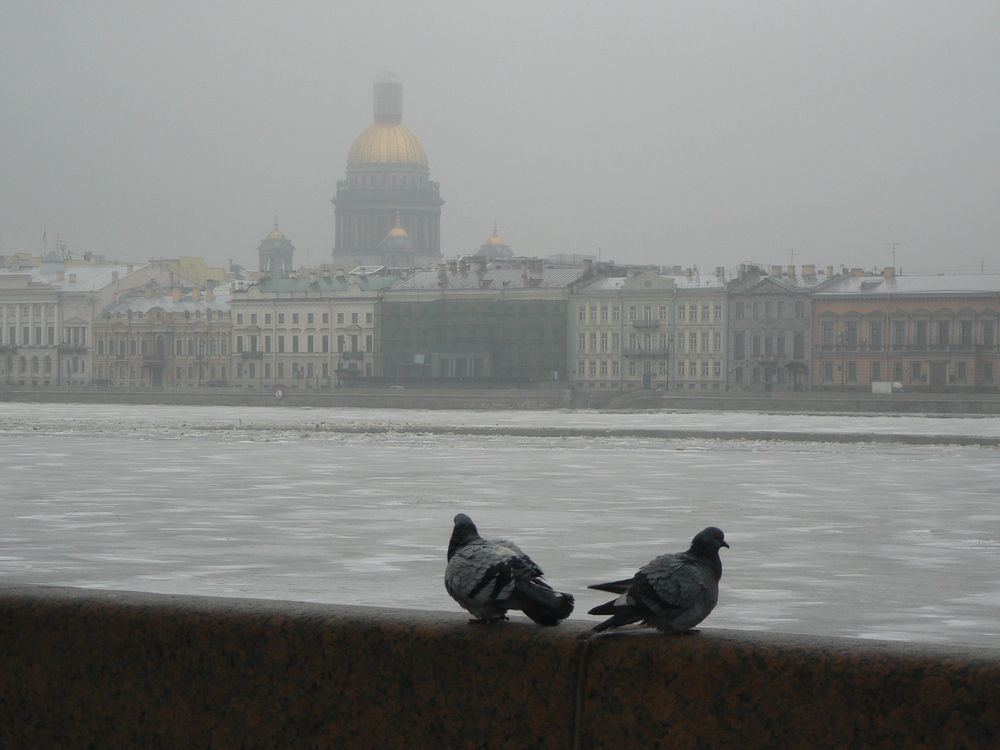 Photo #13687393