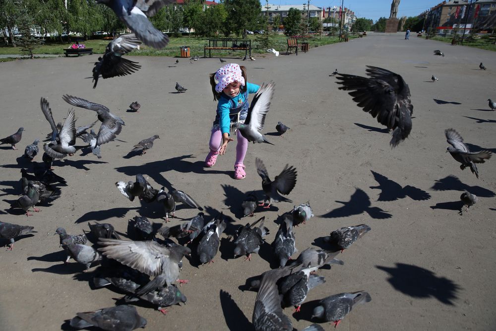 Photograph by Андрей Стародубцев