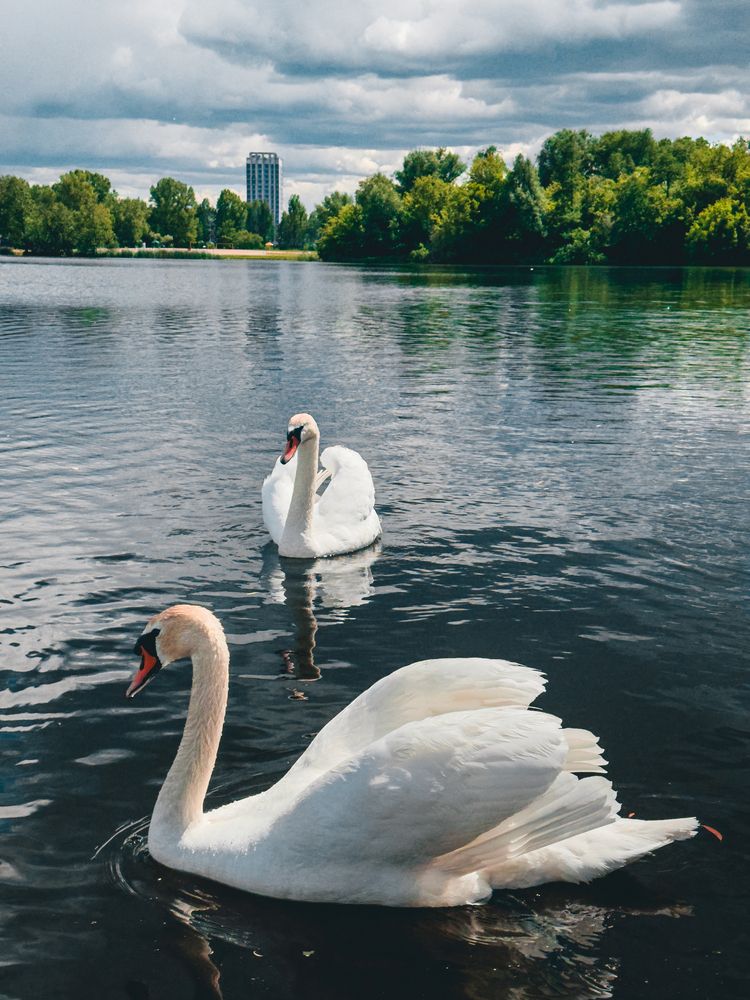 Photograph by Alexey Nuzha