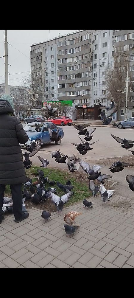 Photograph by Слесарева Елизавета