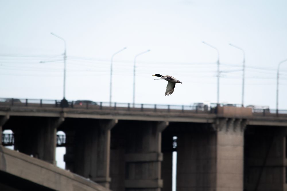 Photograph by Данил Баглаев