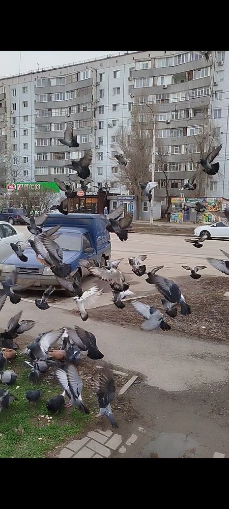 Photograph by Слесарева Елизавета