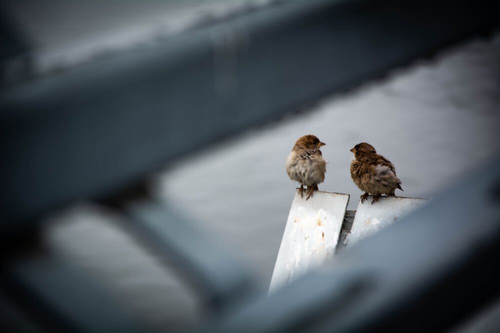 Photograph by Данил Баглаев