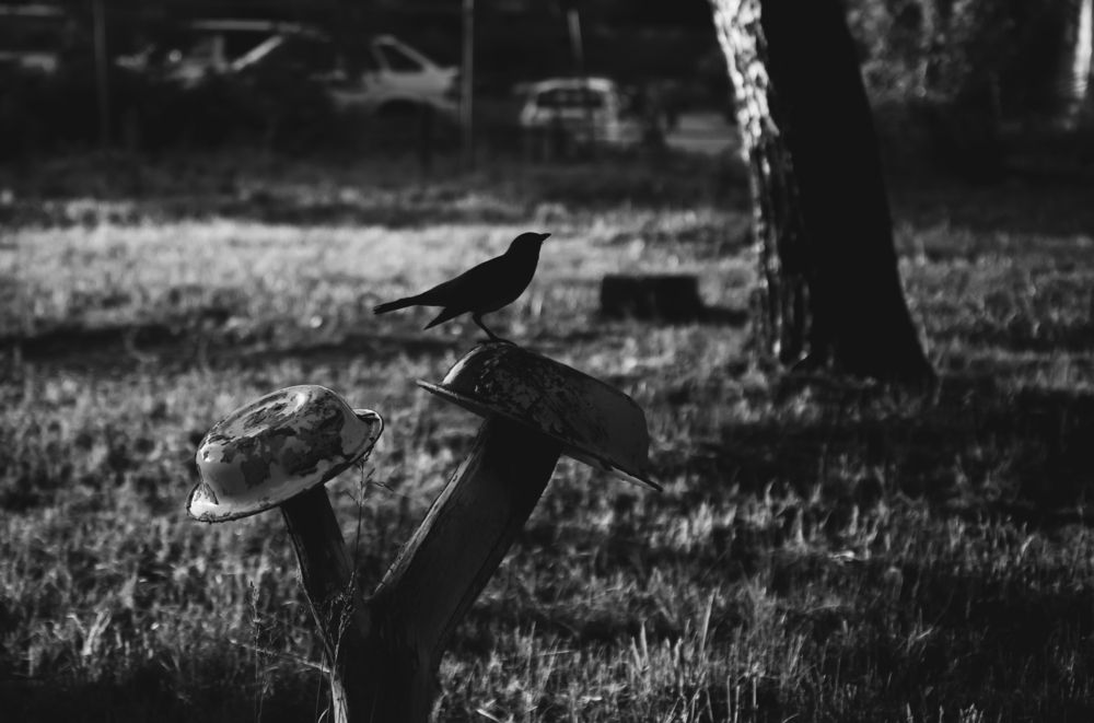 Photograph by Данил Баглаев