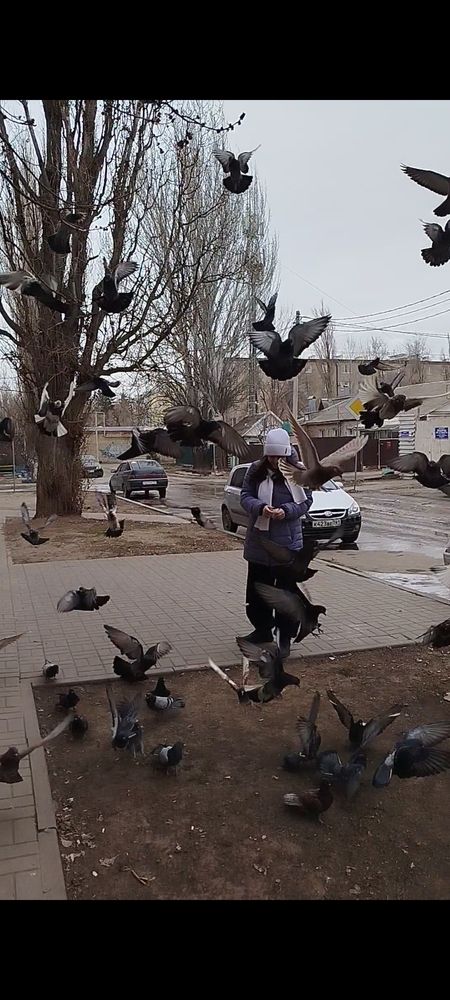 Photograph by Слесарева Елизавета