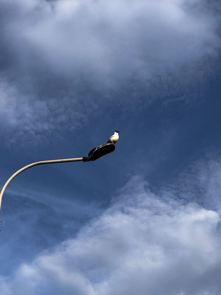 Photograph by Наталья Чехова