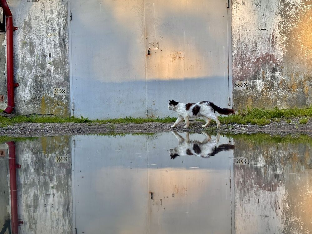 Photograph by Виктория Уварова