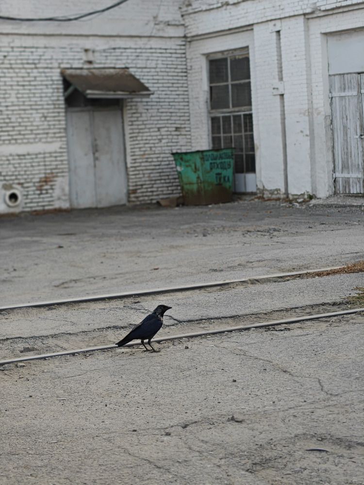 Photo #13687561
