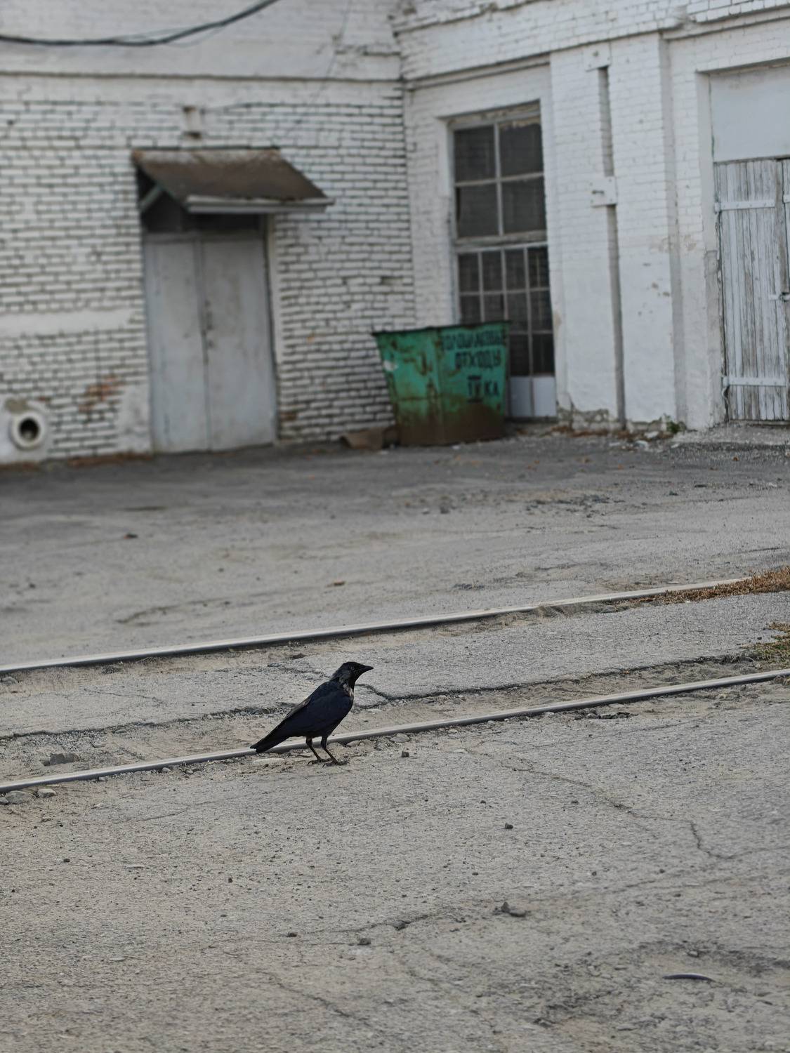 Photo #13687561