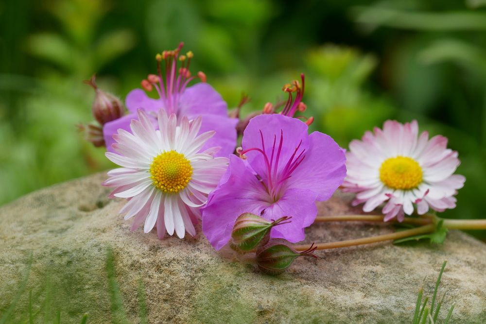 Photograph by Владимир Лобанов