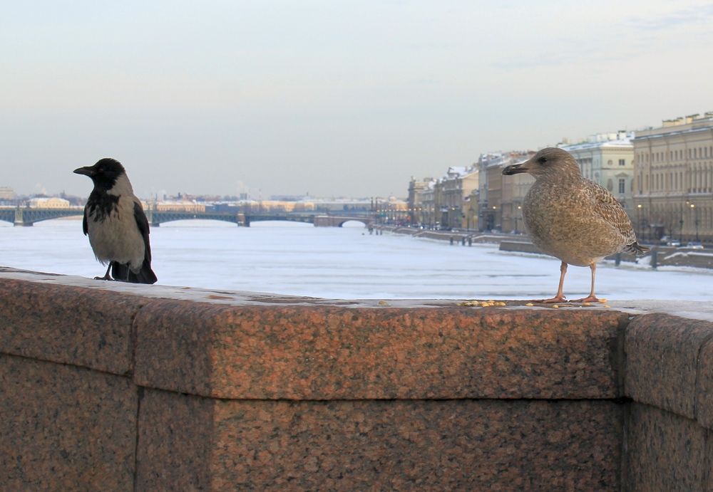Photo #13687592