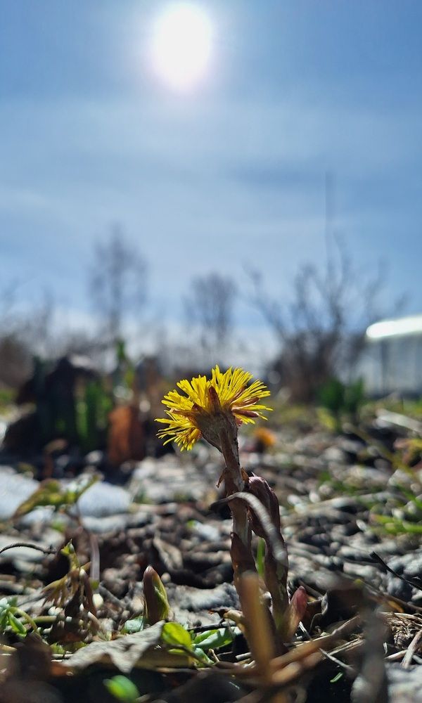 Photograph by Алексей