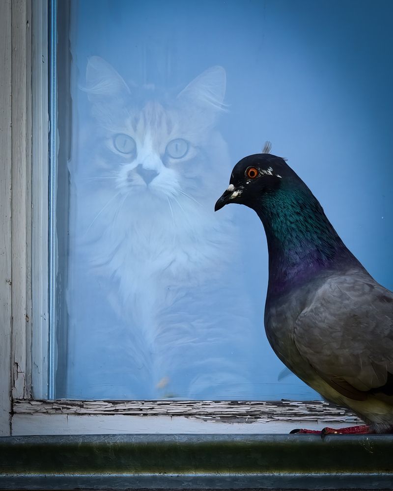 Two Worlds