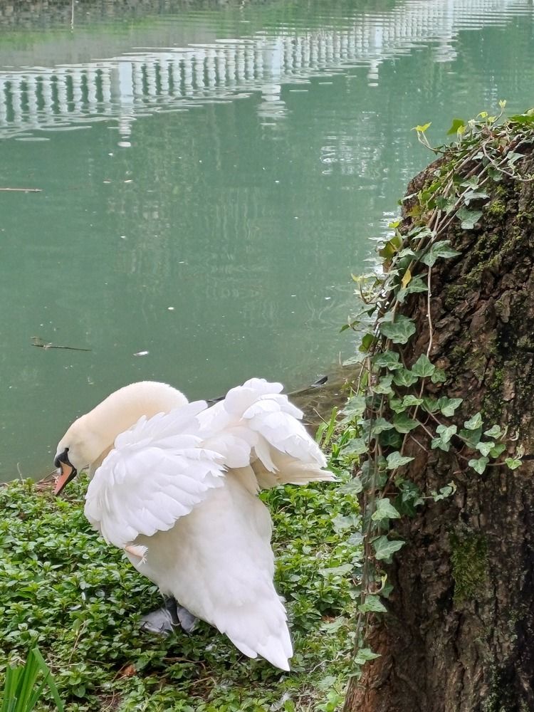 Photograph by Елена Казаренко