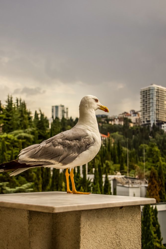 Фотография автора Ирина Кожухова