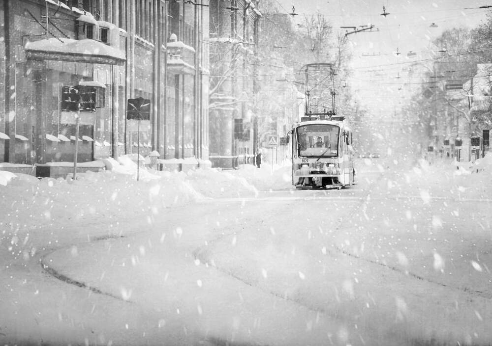 Photograph by Ирина Пинчук