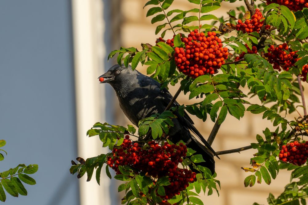 Photograph by Ольга Кузнецова