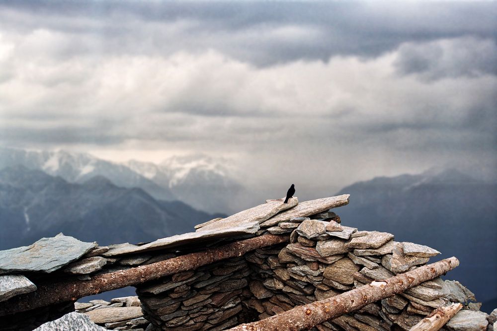Photograph by Kaushik Dolui
