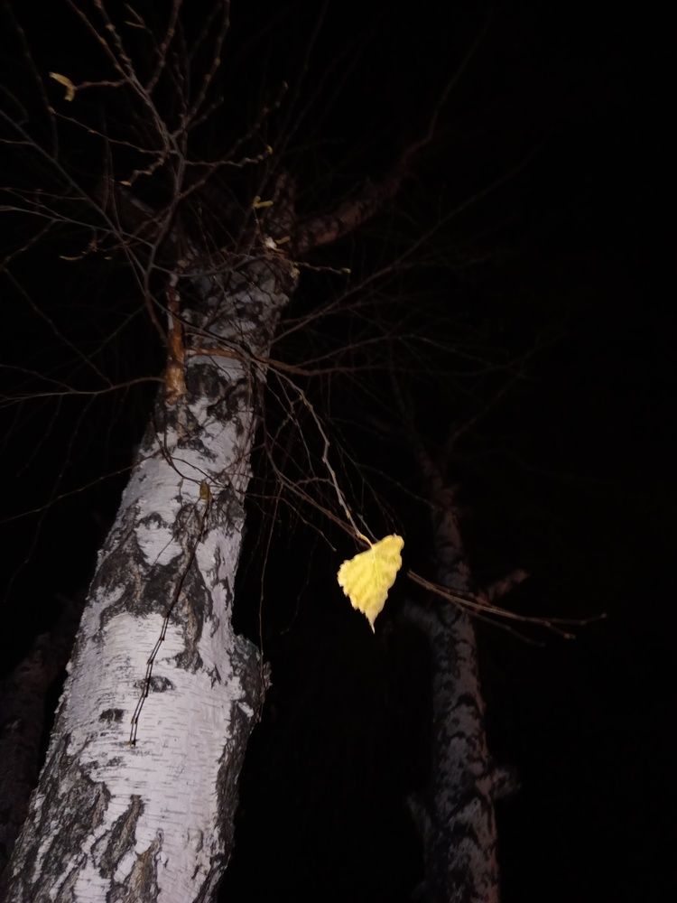 Photo #13687825