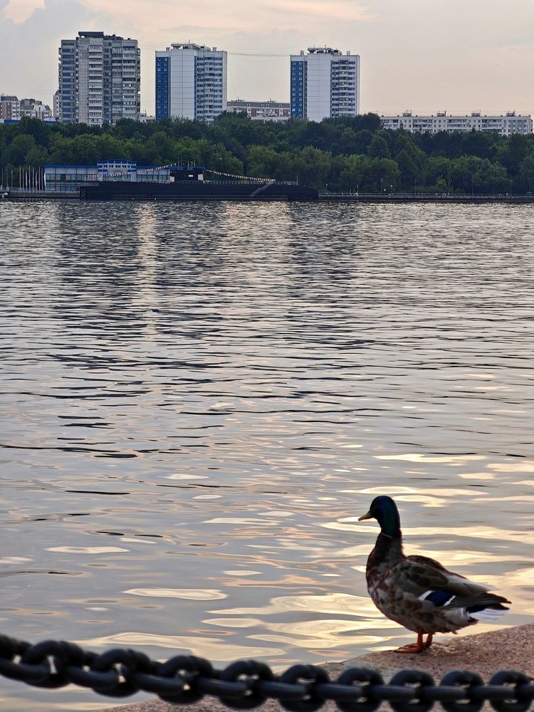Photograph by Ася Титова
