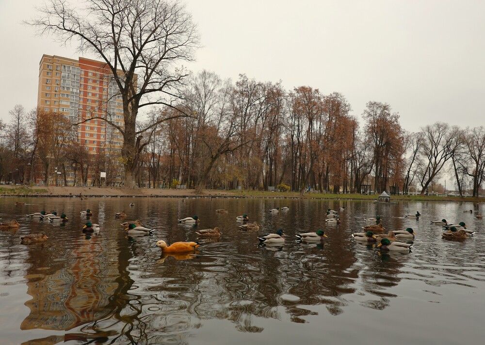 Photograph by Гагик Саркисян