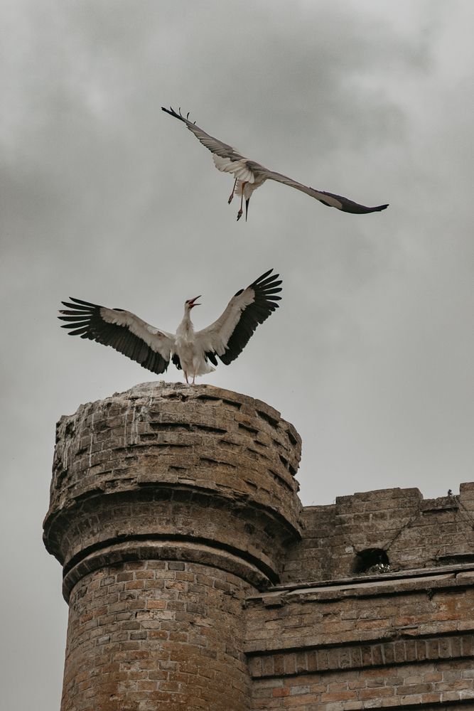 Photograph by Denis Blokhov
