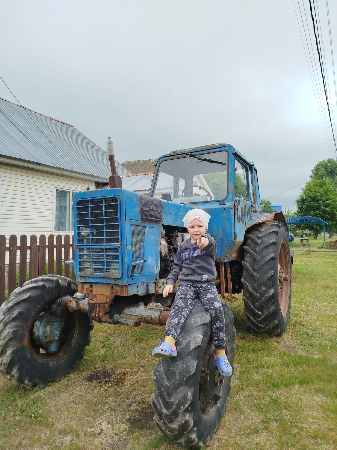 Photo #13687911