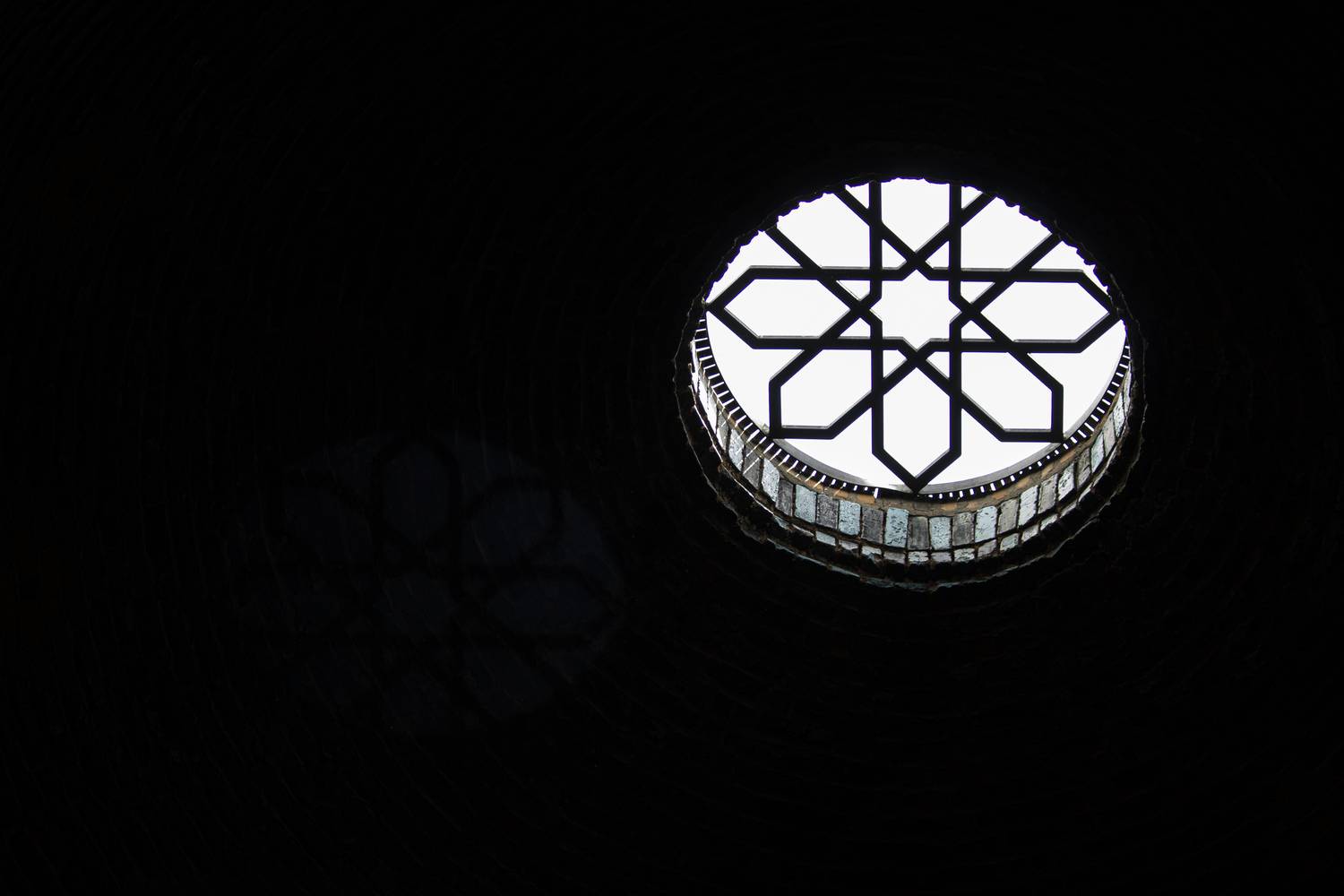 Photo #13687913