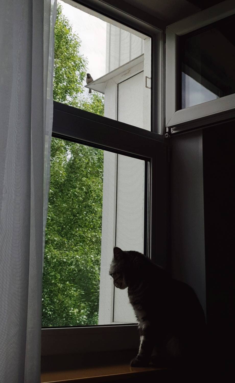 Photo #13687924