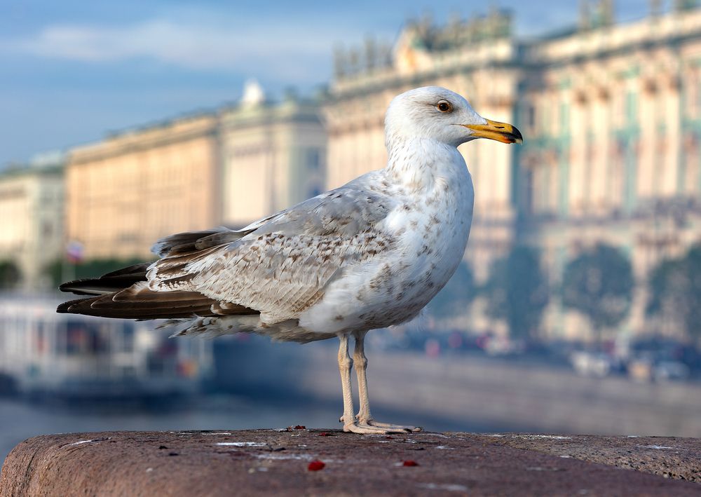 Photograph by Елизавета Венкова