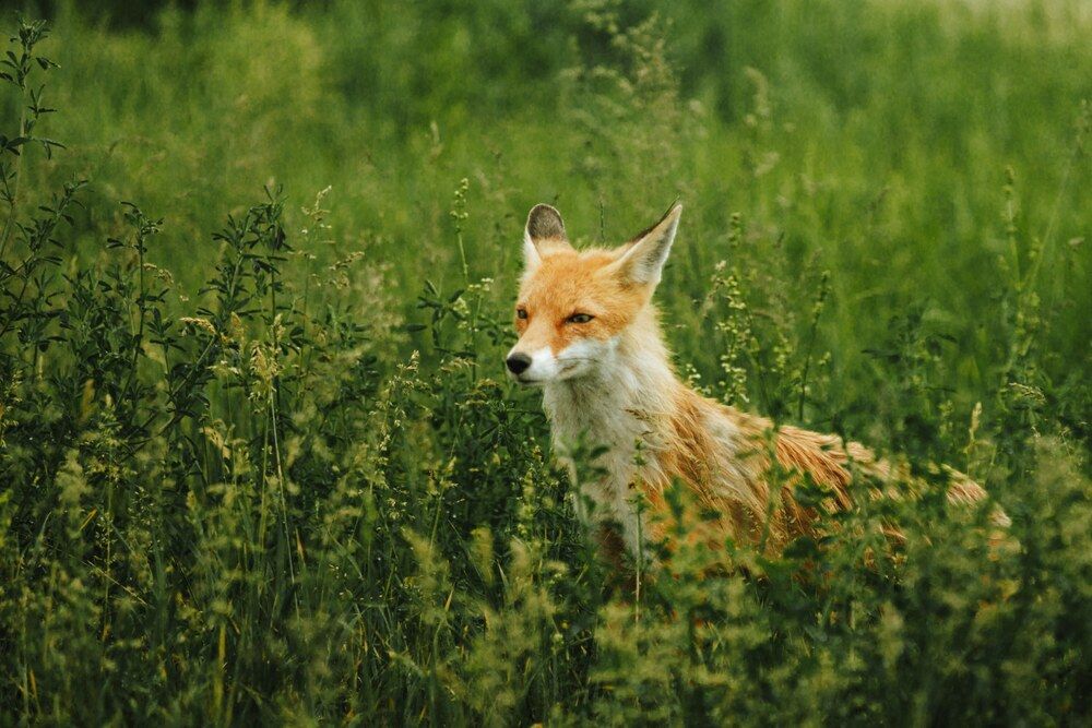 Photograph by Denis Blokhov