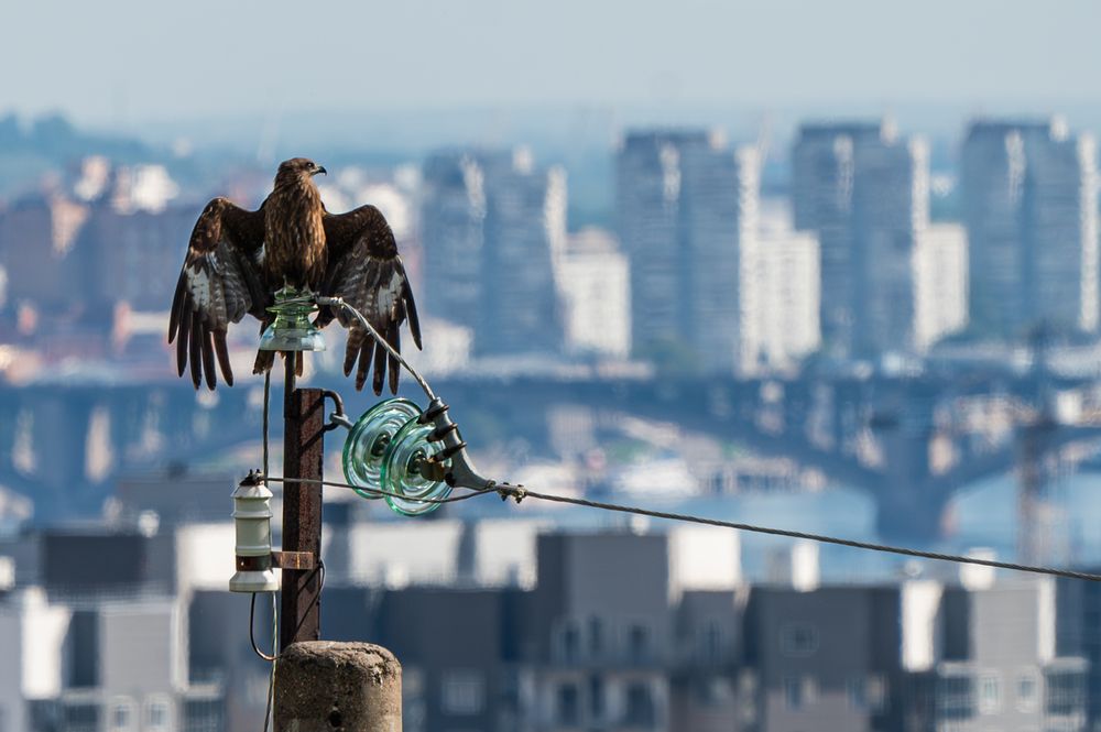 Photograph by Андрей Бородкин