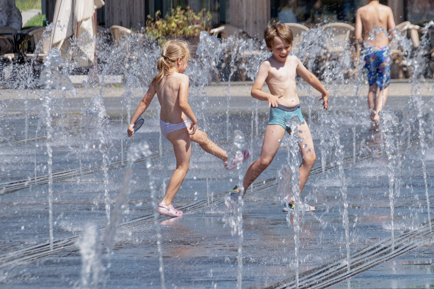 Photo #13687954