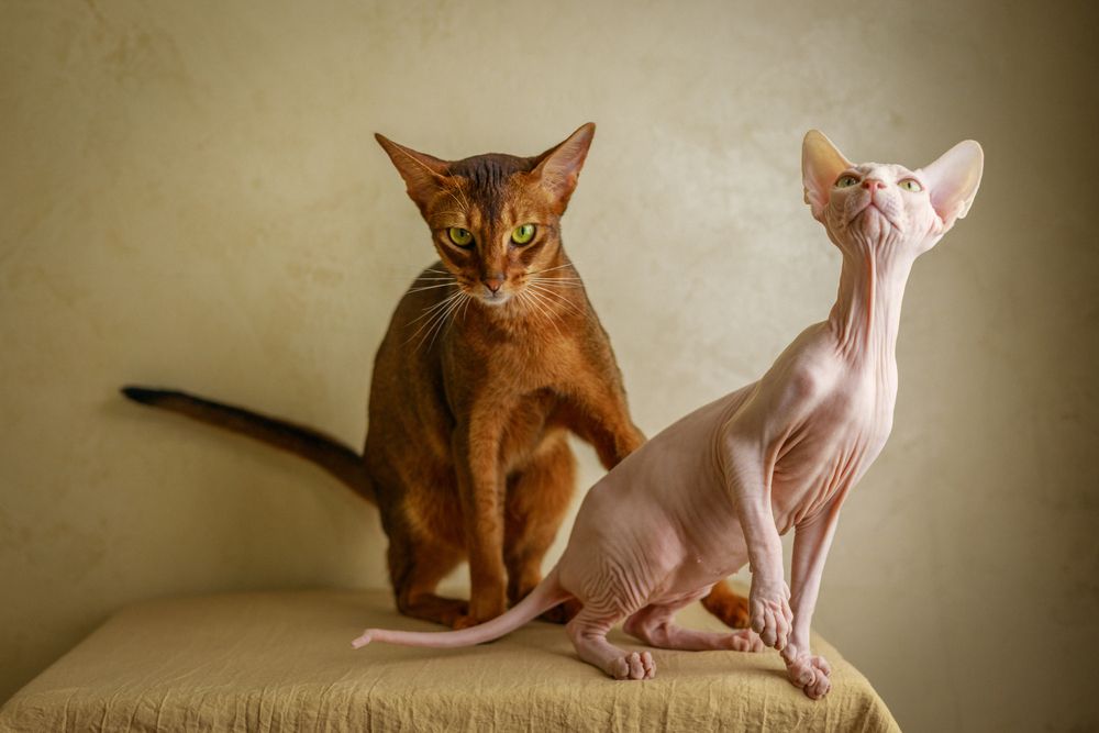 Фотография автора Игорь Федянин