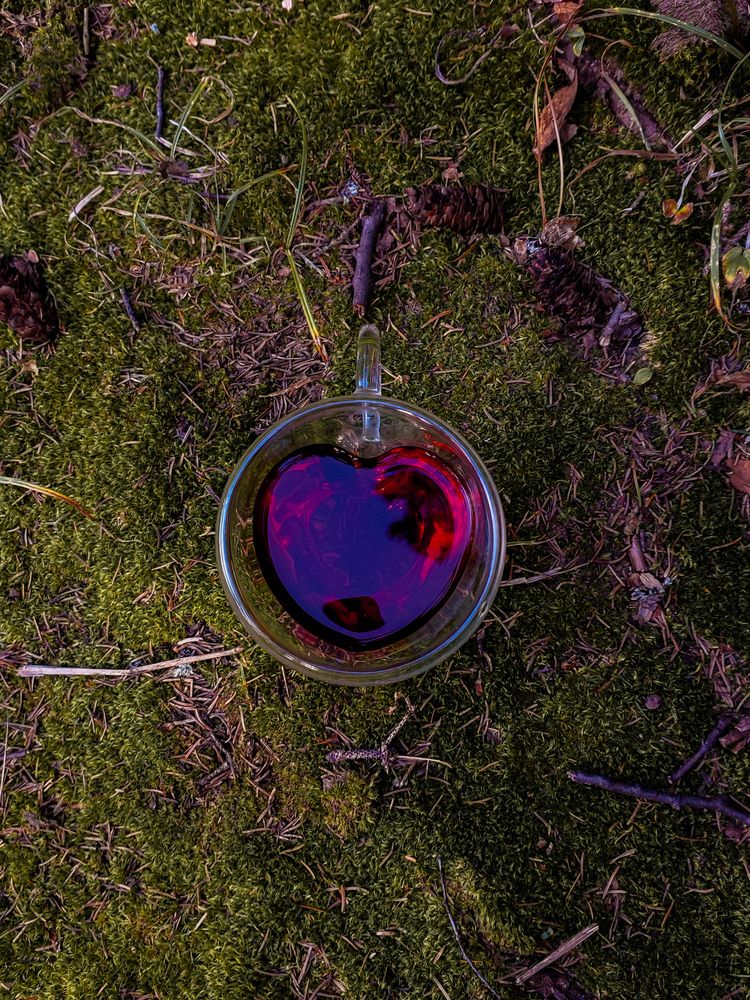 Photograph by Кристина Сысоева