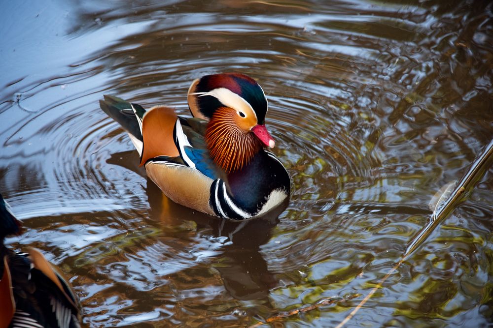 Photograph by Victor Oknyansky