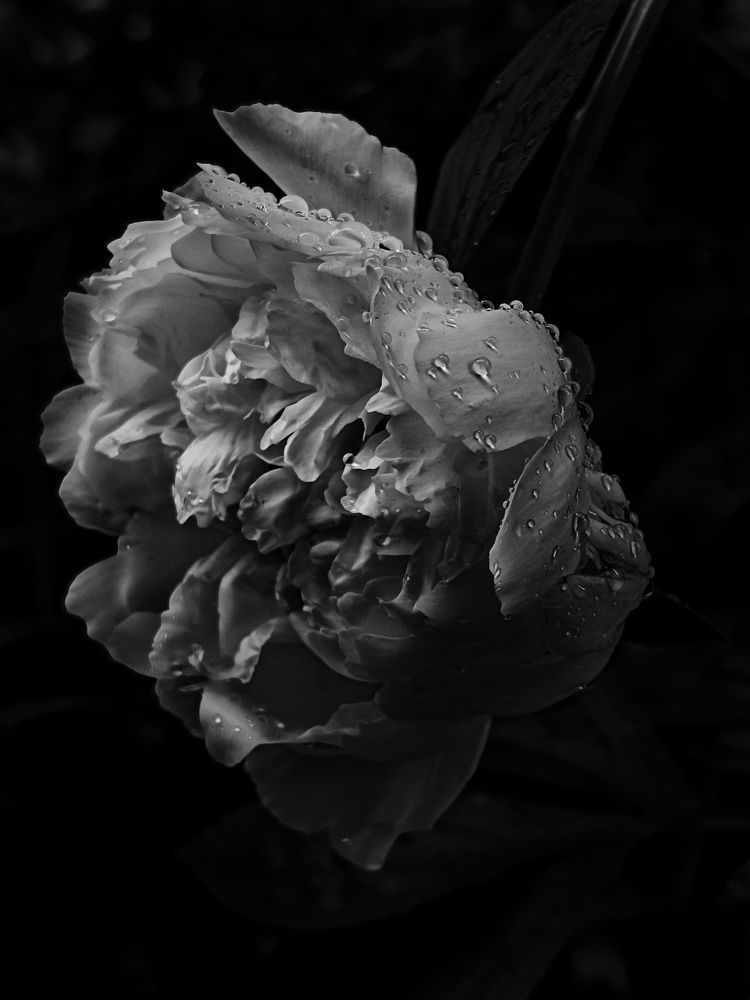 Photograph by Наталия Акимова