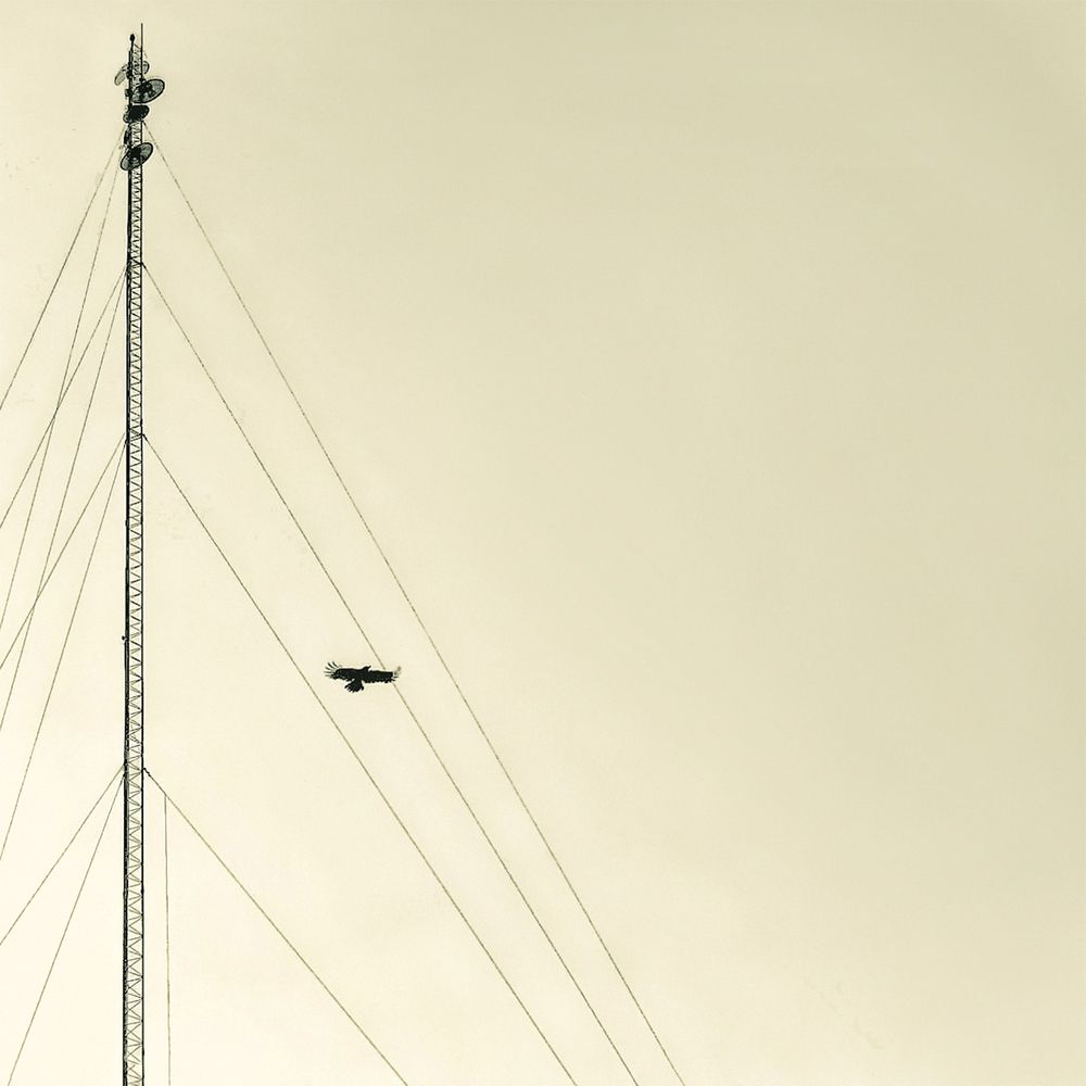 Photograph by Behrouz Sabagh