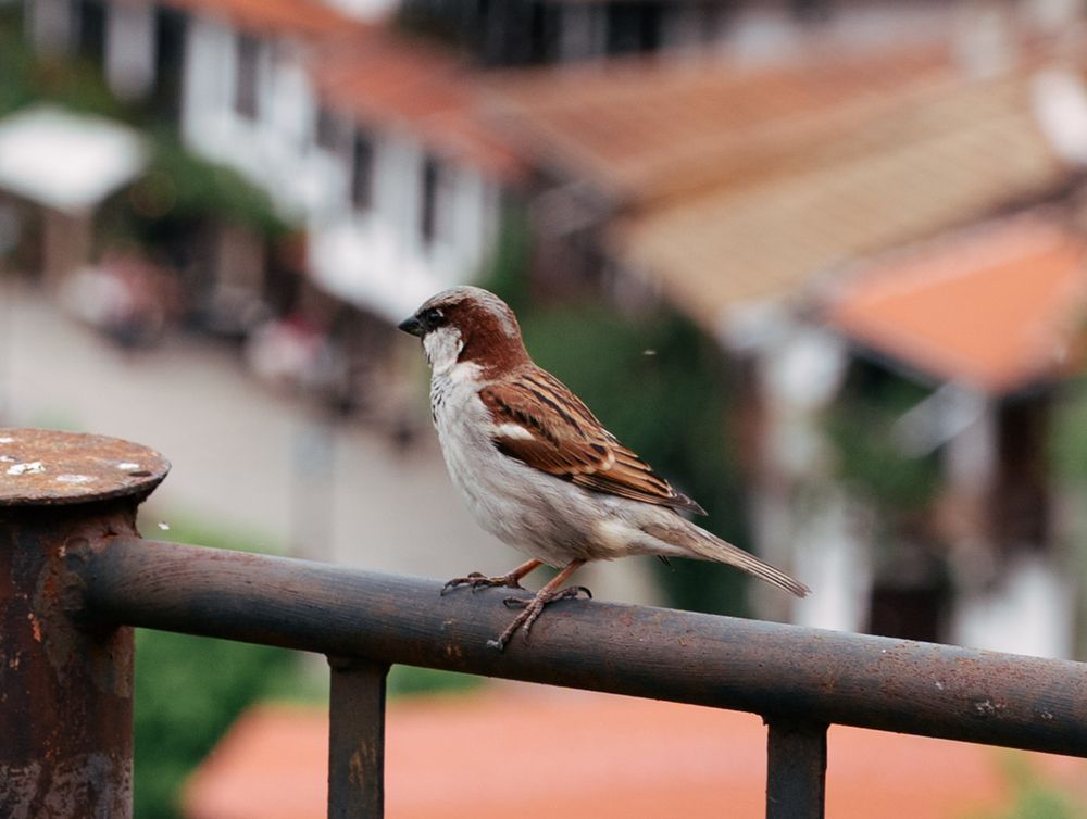 Photograph by Teodora Kremova