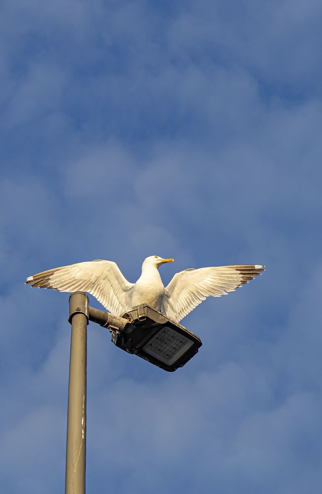 Photograph by Екатерина