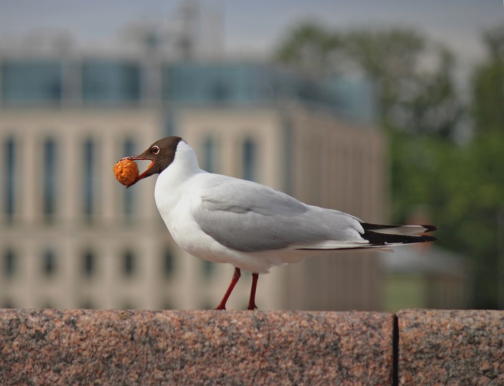 Photograph by Наталья Мухаметханова