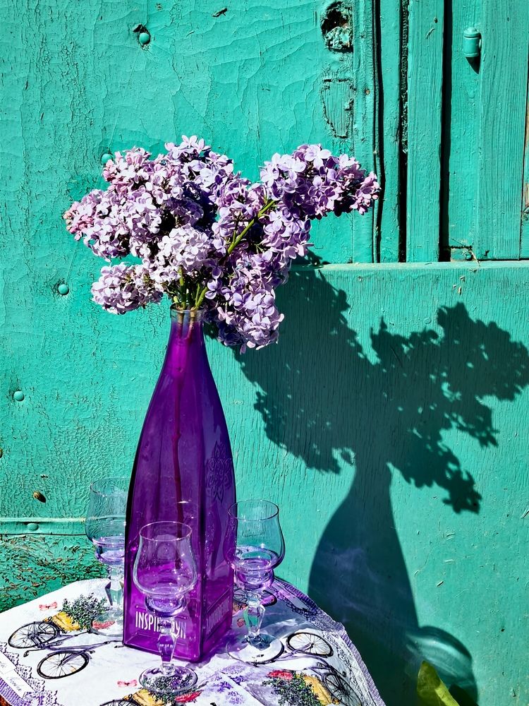 Photograph by Елена Охапкина