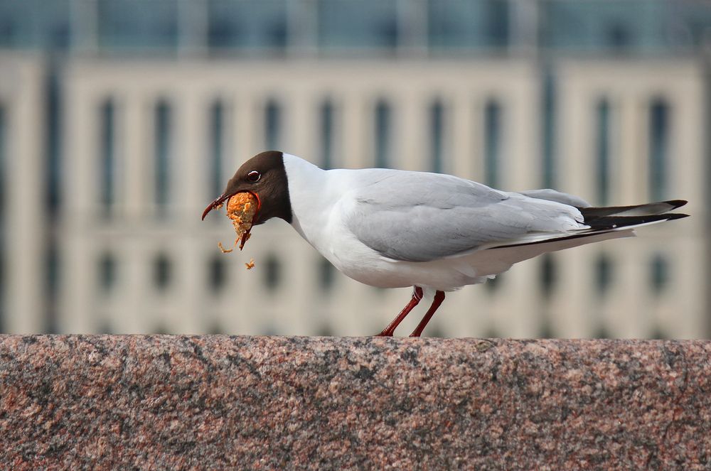 Photograph by Наталья Мухаметханова