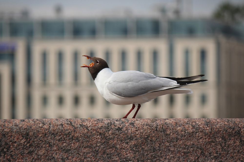 Photograph by Наталья Мухаметханова