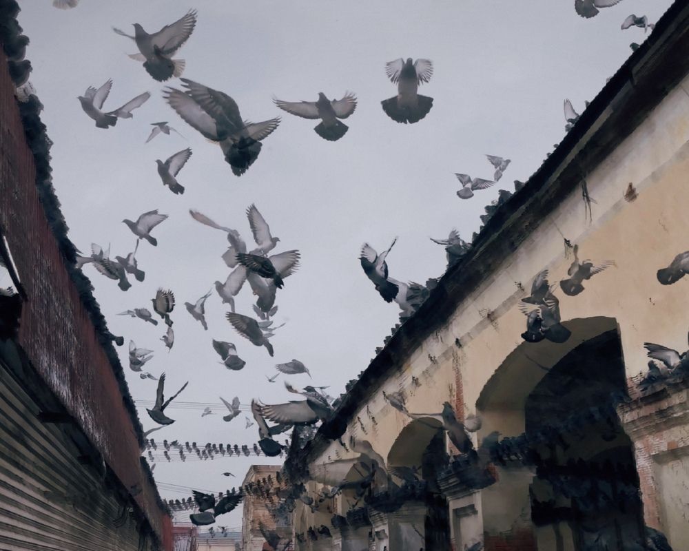 Photograph by Екатерина Кузнецова