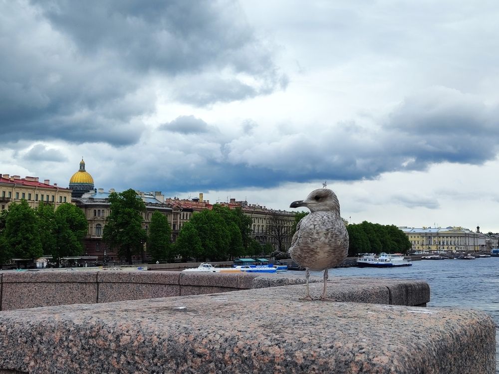 Photograph by Елена Белькова