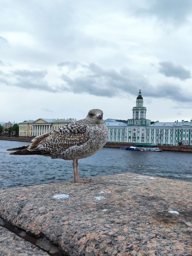 Photograph by Елена Белькова