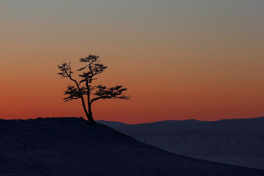 Photograph by Svetlana Zhilina