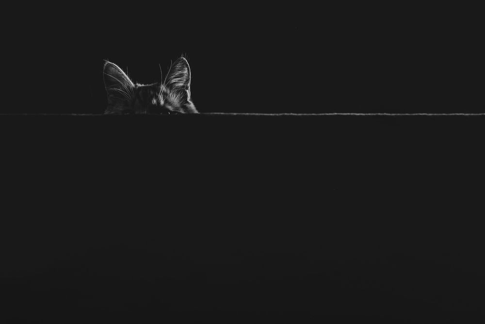 Photograph by Dina Damotseva